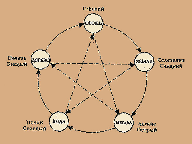 Элементы 4 человека. Круговорот пяти стихий. Круговорот по фен шуй. Круговорот стихий онмёдо. Слабости и сильные стороны стихий в Наруто.