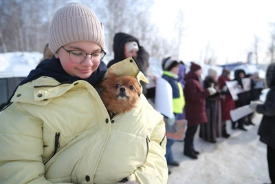 Томичи требуют расследовать массовые отравления собак