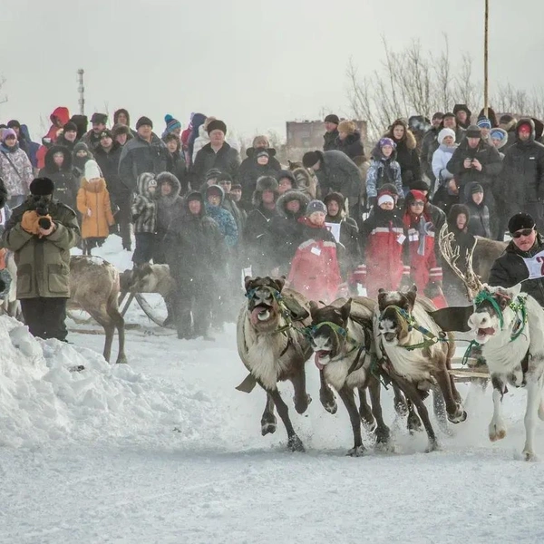 День оленевода в Инте | Источник: Алексей Наумов / предоставлено АНО «Агентство по развитию туризма и продвижению Республики Коми»