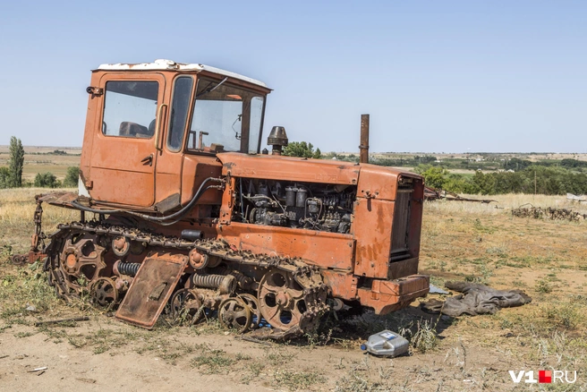 Предполагалось, что школьники будут получать опыт сельского хозяйства. На практике оказалось, что земля досталась фермерам | Источник: Константин Завриков / V1.RU