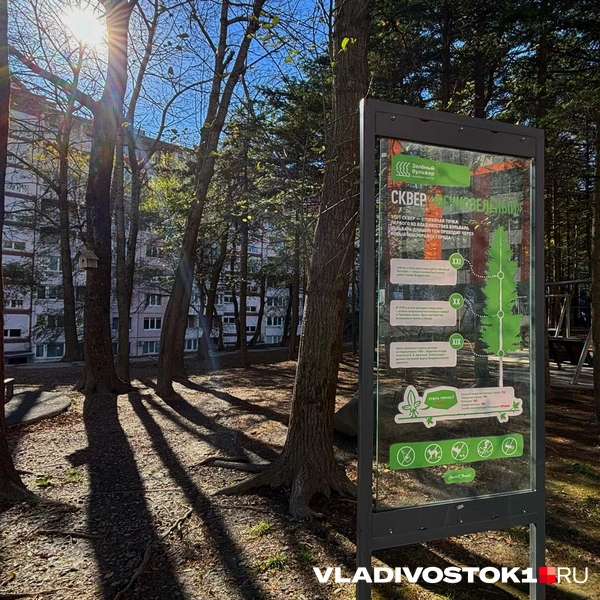 Источник: Елена Буйвол / VLADIVOSTOK1.RU