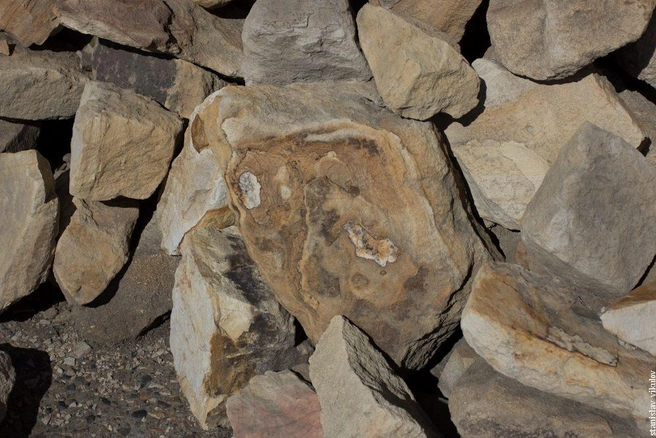 Источник: Vikulov_Stanislav