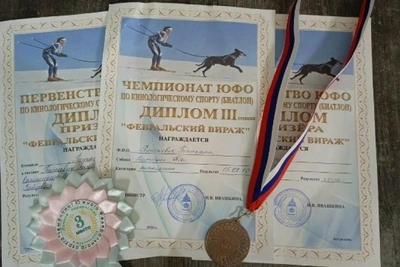 Астраханская восьмиклассница заняла третье место на чемпионате ЮФО