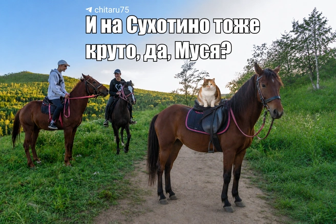Источник: Вячеслав Палкин