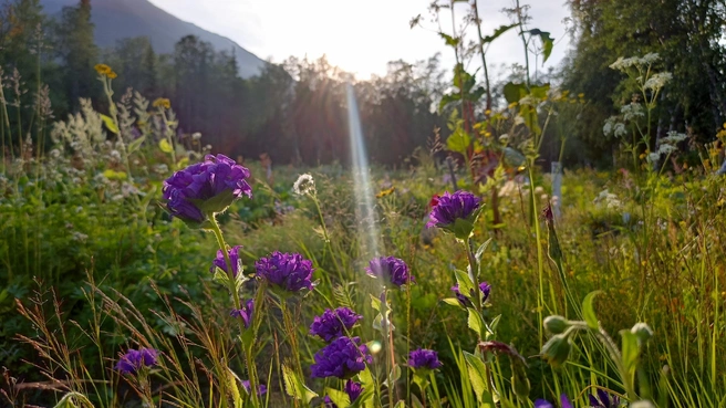 Источник: архив Эльвиры Айнетдиновой