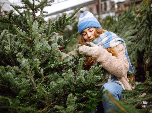Когда нужно ставить новогоднюю елку, чтобы избежать неудач в 2024 году