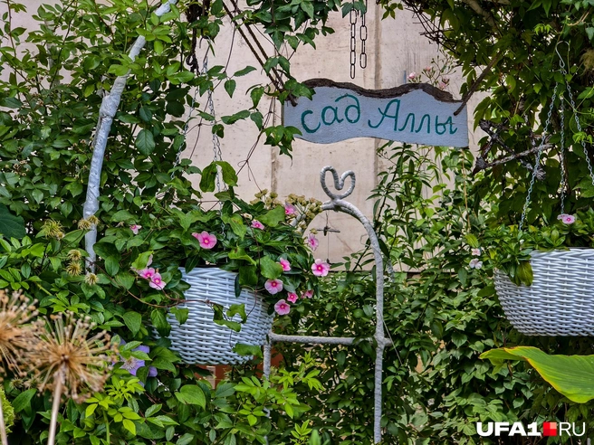 Спасибо Алле за такую красоту | Источник: Булат Салихов / UFA1.RU