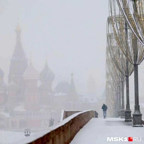 Источник: Артем Устюжанин / MSK1.RU