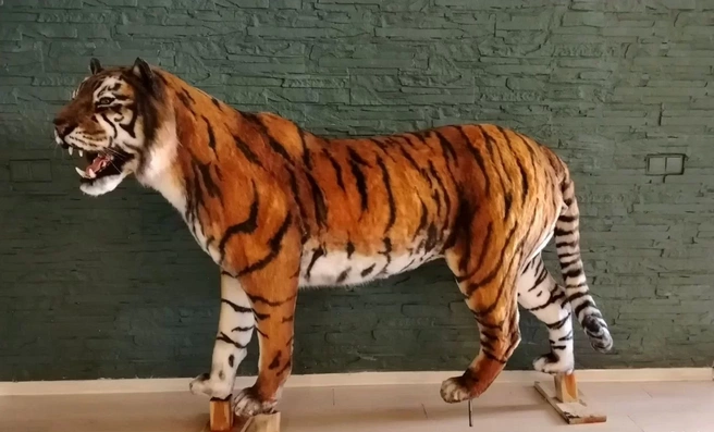 Объявление появилось вчера, 10 октября | Источник: «Авито»