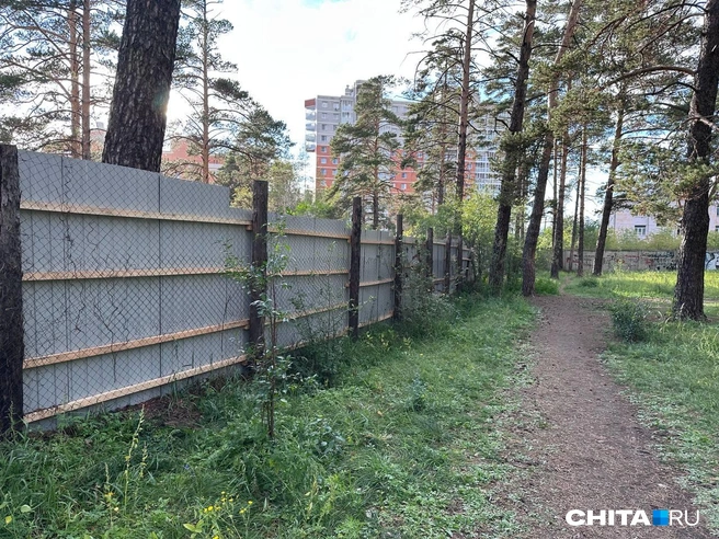 Источник: Олег Федоров / CHITA.RU