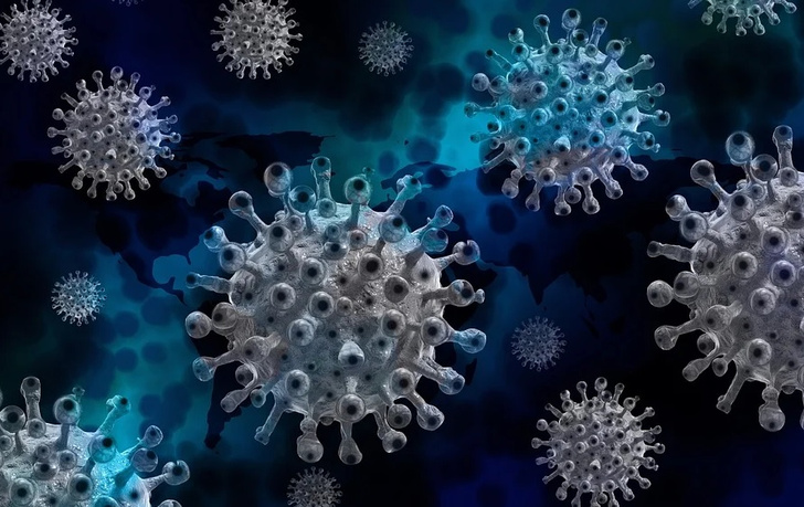 происхождение коронавируса