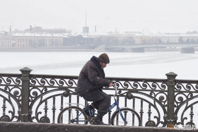 Петербуржцев предупреждают о скором похолодании | Источник: Михаил Огнев / FONTANKA.RU
