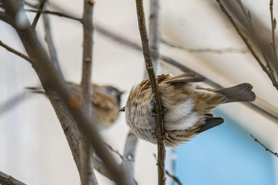 В Приморье ожидается потепление, гололедица и сильный ветер