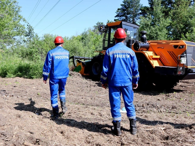 За шесть месяцев текущего года в районах области расчищено более 635 гектаров трасс воздушных линий электропередачи | Источник: АО «РЭС»