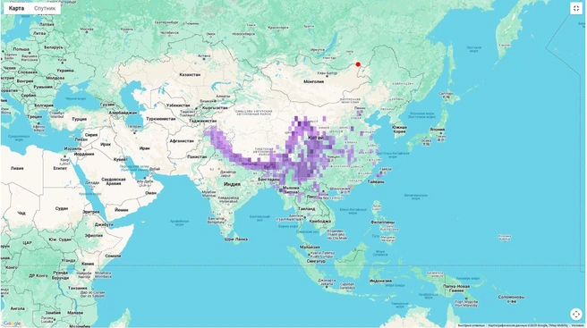 Гнездовой ареал и залеты синелобой горихвостки | Источник: Ebird.org