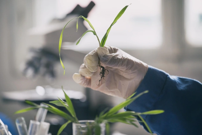 Источник: Shutterstock.com