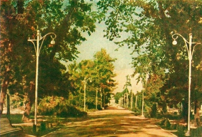 Аллея в Первомайской роще, 1957 год  | Источник: Pastvu.com