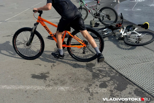 Источник: Елена Буйвол / VLADIVOSTOK1.RU