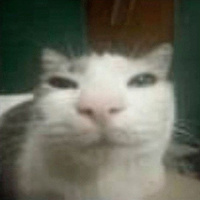 Аватарка fihket