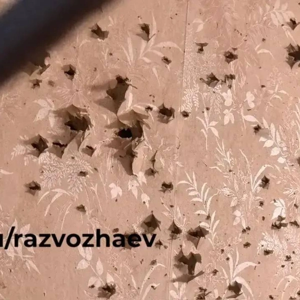 Источник: телеграм-канал губернатора Севастополя Михаила Развожаева