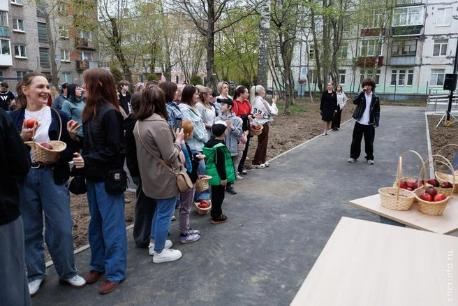 Источник: st.cherinfo.ru