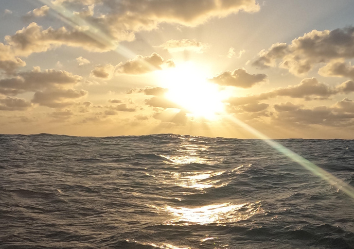 На веслах за горизонт: как океанская гребля увлекла человека по дороге между континентами