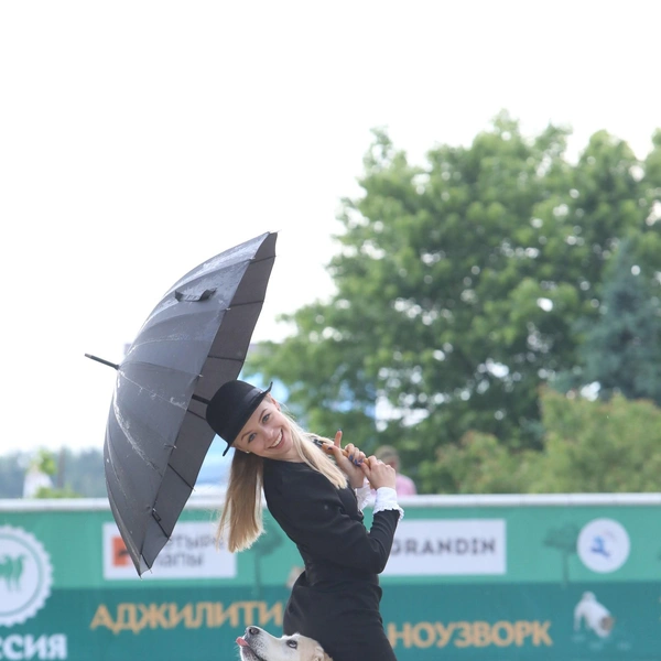 Источник: РКФ