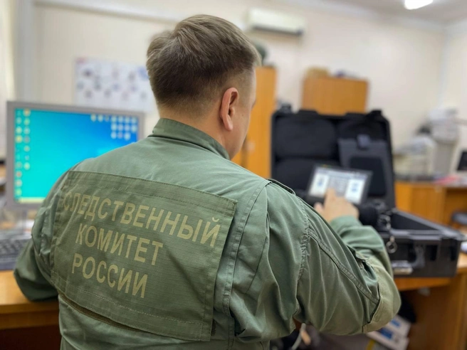 Следователи начали проверку по факту гибели восьмилетней девочки в Юкагире | Источник: Следком Якутии / T.me