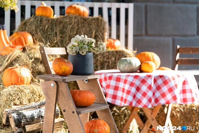 Как бы вы хорошо смотрелись здесь | Источник: Мария Ленц / NGS24.RU