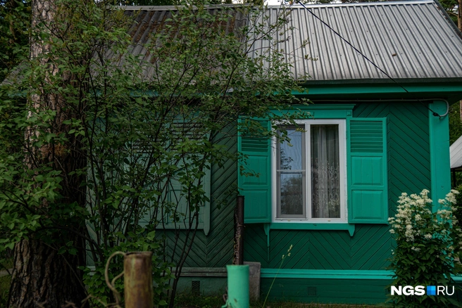 Источник: Александр Ощепков / NGS.RU