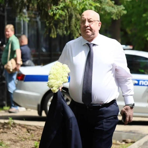 адвокат Владимир Плигин