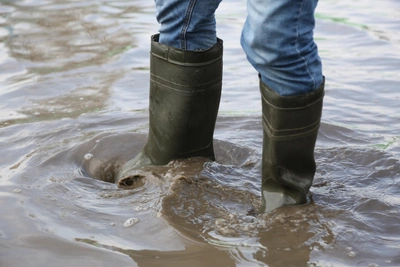 Суд обязал ОмскРТС выплатить за затопление дачи