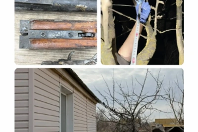 В Астрахани раскрыли убийство из-за земельного конфликта