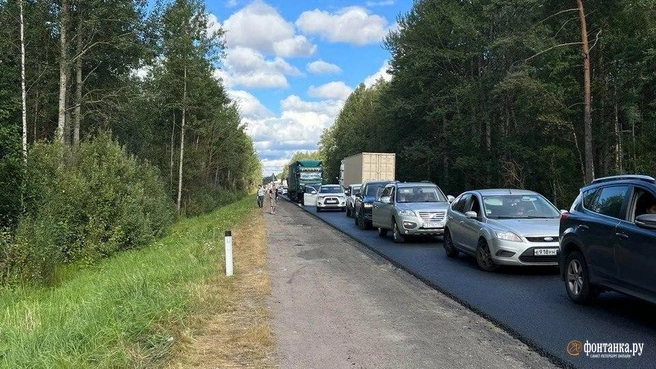 «Стоим больше двух часов на Питер». Автомобилисты попали в пробку на Мурманском шоссе из-за реверса | Источник: читатель «Фонтанки» Илья