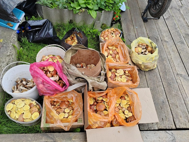 Источник: Йоргина Бобыкина