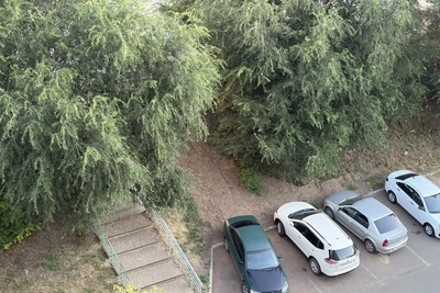Седьмая атака БПЛА за август в Оренбуржье