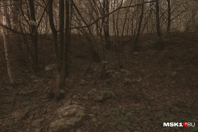 Источник: Вера Борисова, Серафима Пантыкина / MSK1.RU