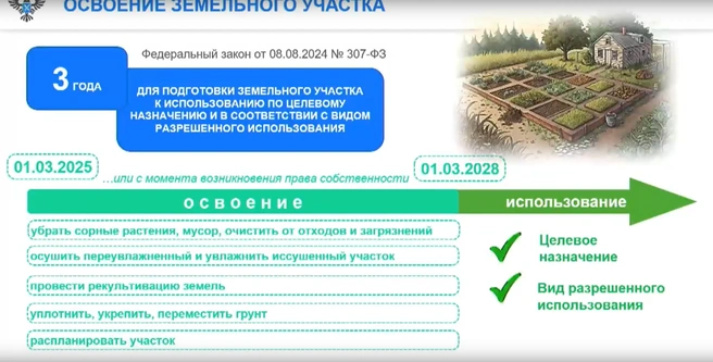 Для подготовки земли собственникам выделят три года | Источник: пресс-центр ТАСС / «ВКонтакте»