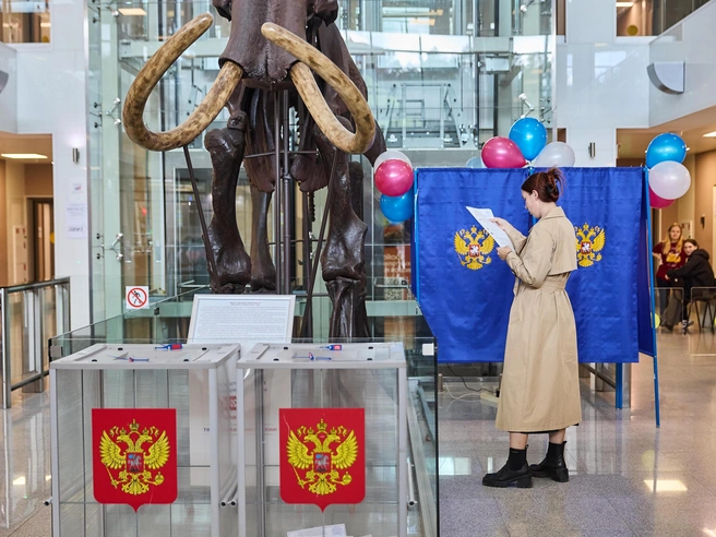 Члены комиссии признали выборы состоявшимися | Источник: Александр Ощепков / NGS.RU