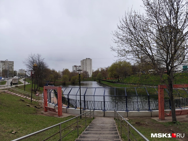 Пруд Подоселки в Бирюлево Западном | Источник: Игорь Мещанев / MSK1.RU