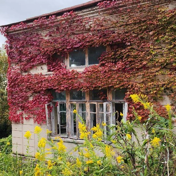 Кухня и дом прислуги возле дачи Сталина в Новом Афоне | Источник: Личный архив Евгении