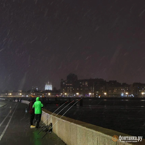 Источник: Дарья Драй / «Фонтанка.ру»