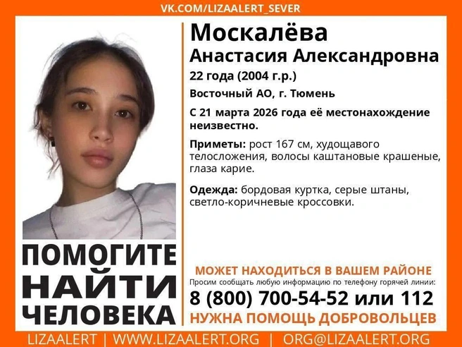 Источник: Лиза Алерт / t.me