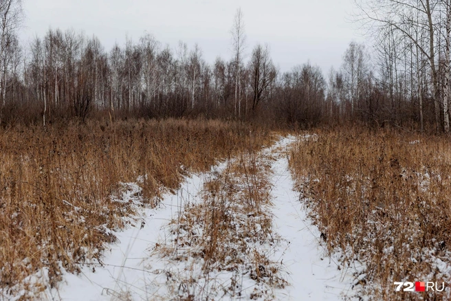 Проселочная дорога ведет к месту взрыва | Источник: Ирина Шарова / 72.RU