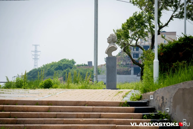 Источник: Елена Буйвол / VLADIVOSTOK1.RU