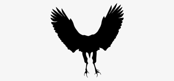 Jagran Josh | Источник: Jagran Josh