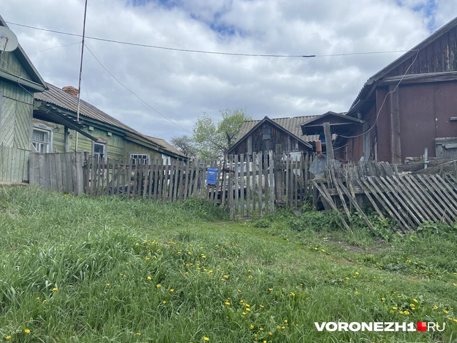 Источник: Дмитрий Волгин / Voronezh1.ru
