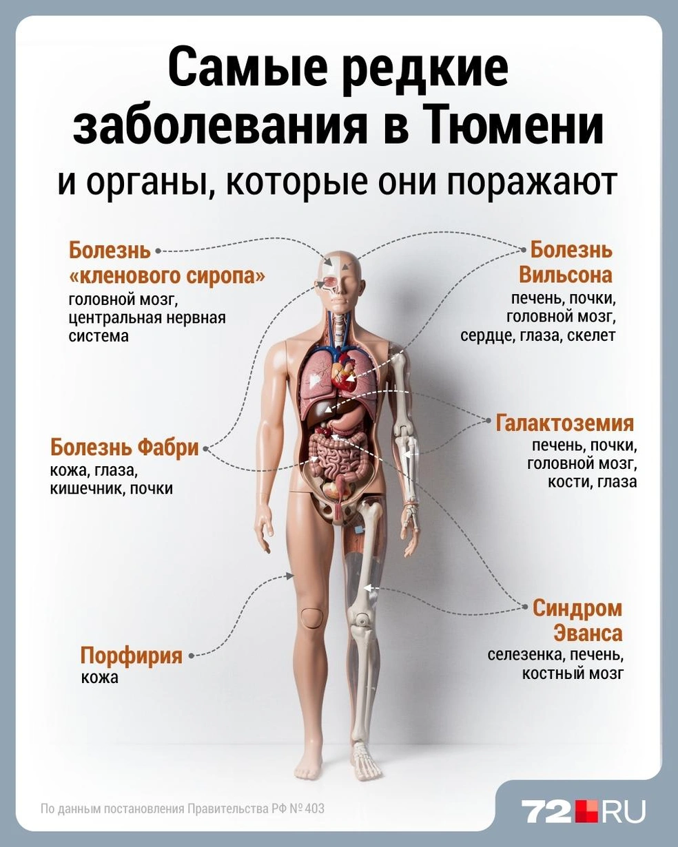 Источник: Дмитрий Гладышев / 72.RU