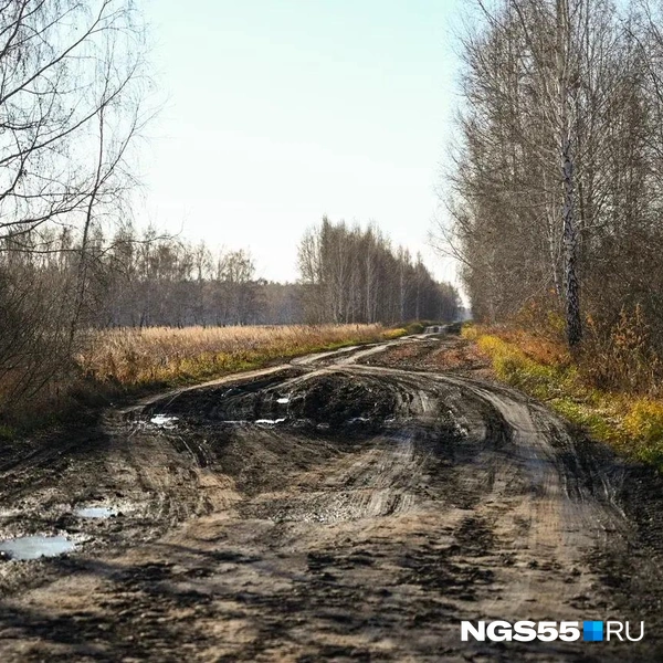 Так выглядит дорога до Павловки  | Источник: Кирилл Башинский / NGS55.RU 