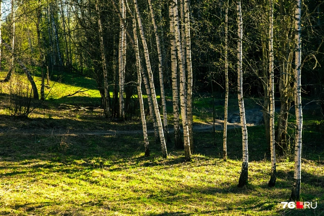 Идеальное место для фотосессии | Источник: Кирилл Поверинов
